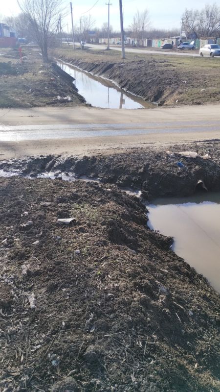 ������ ������ �������� ��������� ������� ���� �������