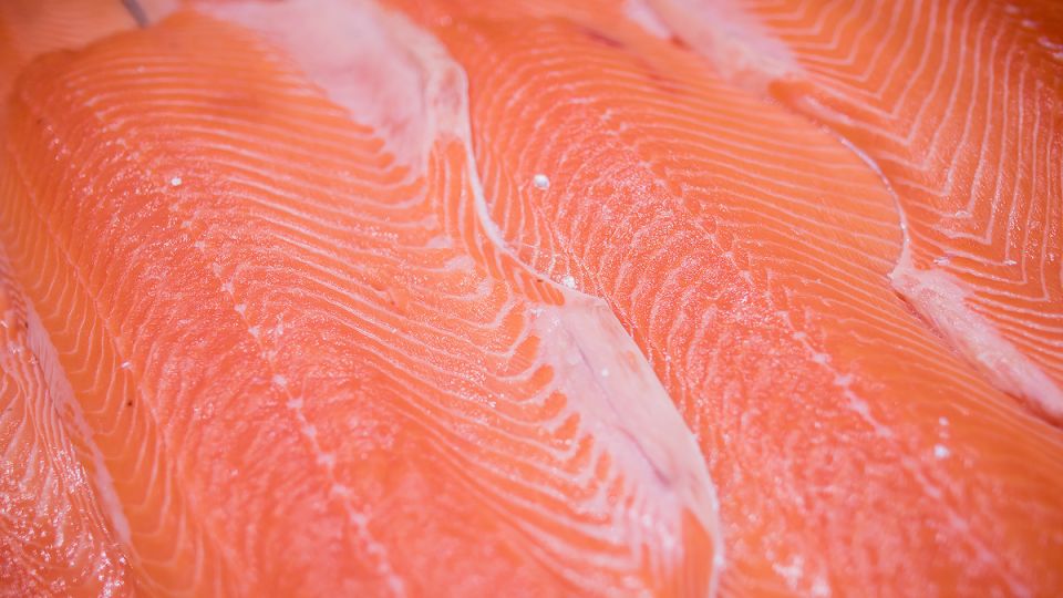 Снижение вылова лососевых: Росрыболовство предсказывает трудные времена