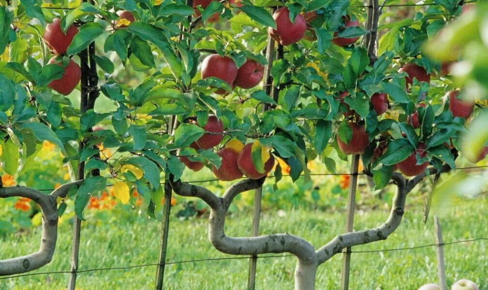 ��������� �������: ���������� ������ � ���������