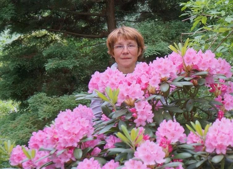 �������� �������� ���������: ������ �� ����� ���������� ���������� �����������