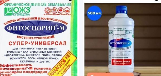 ����������: �������� ����� � � ��, ������� ������ ����� ������ ������