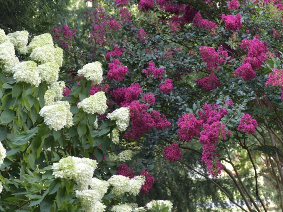 ��� ������� ��������� �� ������ ������ ��� ������� �������� � ����� ������