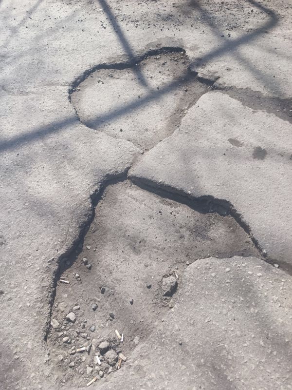 ������ ������ ������������ �� ��������� �������� �� ������ ����� �����-������, 133