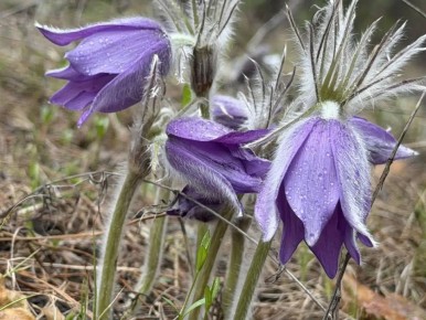 � ����� ��������� ������� ������� ������������� �������� ���������