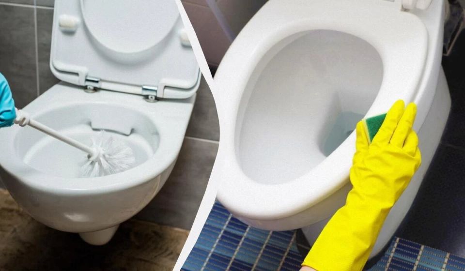 ��� ���������� �� ������������ ������ � �������: ����������� ������� �� 10 �����