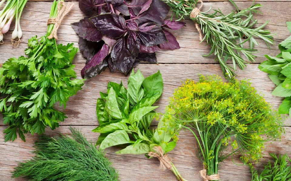 ��� ������ ����� �������� �����: �������� �������� ��������, ������ � ������ ��������