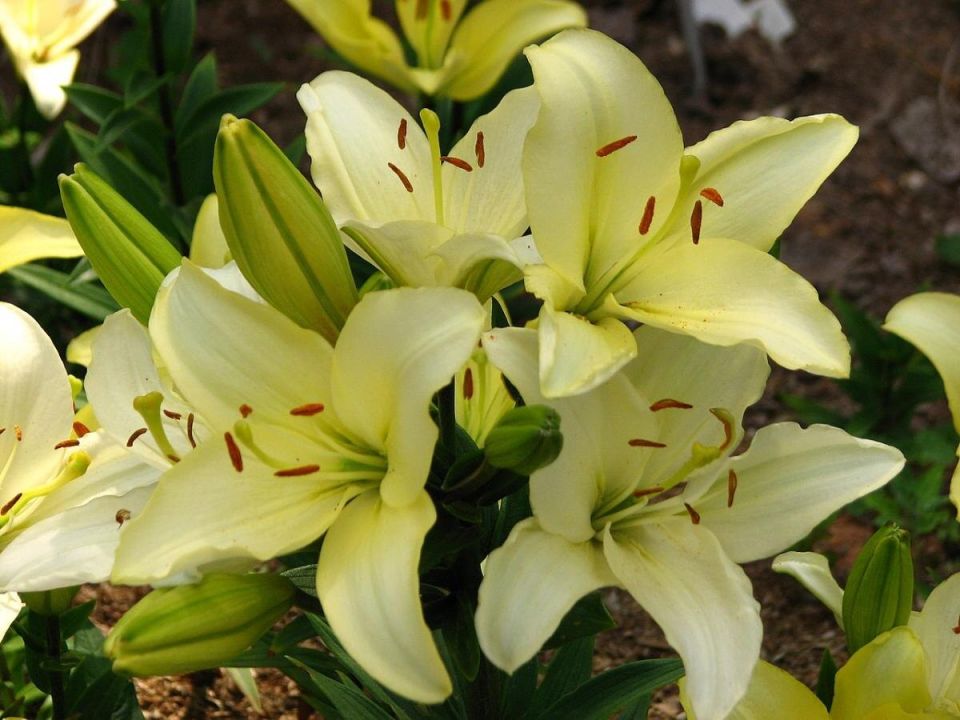 ����: ����� ������ � ������ ��� ������ �������� � 2026 ����