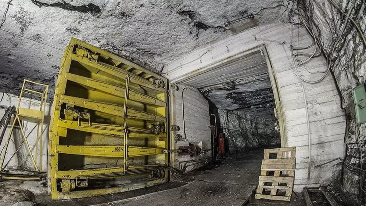 Удивительное исчезновение советских консервов с китовым мясом