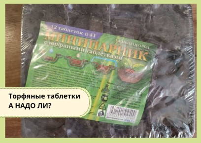 Торфяные таблетки: как понять, когда они действительно помогают