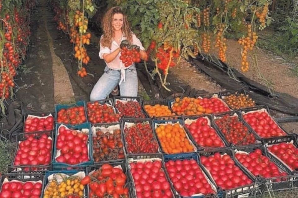 ������ ��� �����: ������� ��������� ������ �� ���� �����������