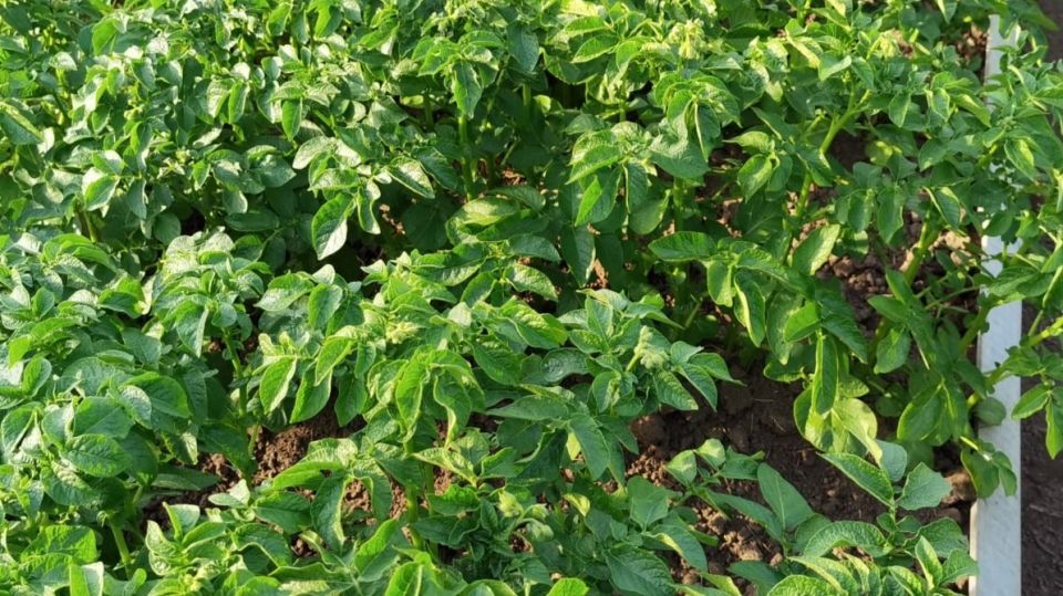 ��� ��������� ��������� ��� ������� ����� �������� ��� ������