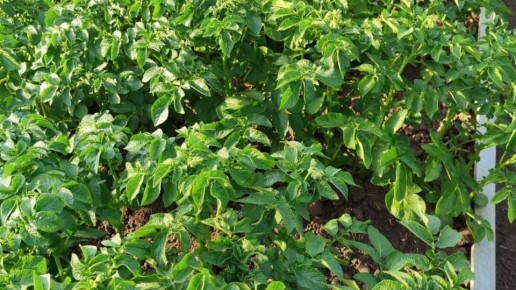 ��� ��������� ��������� ��� ������� ����� �������� ��� ������