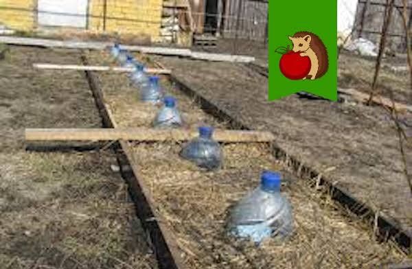 ������� �������� �������� ������ �� �������: ������� � ����������� ������