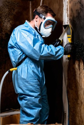 ��� ���������� �� �������: ����������� ������ � ������������