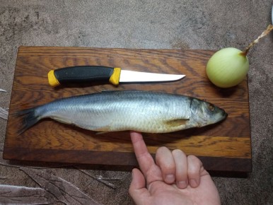 ������ ��� �� ������� �� ������ ���������� ��������