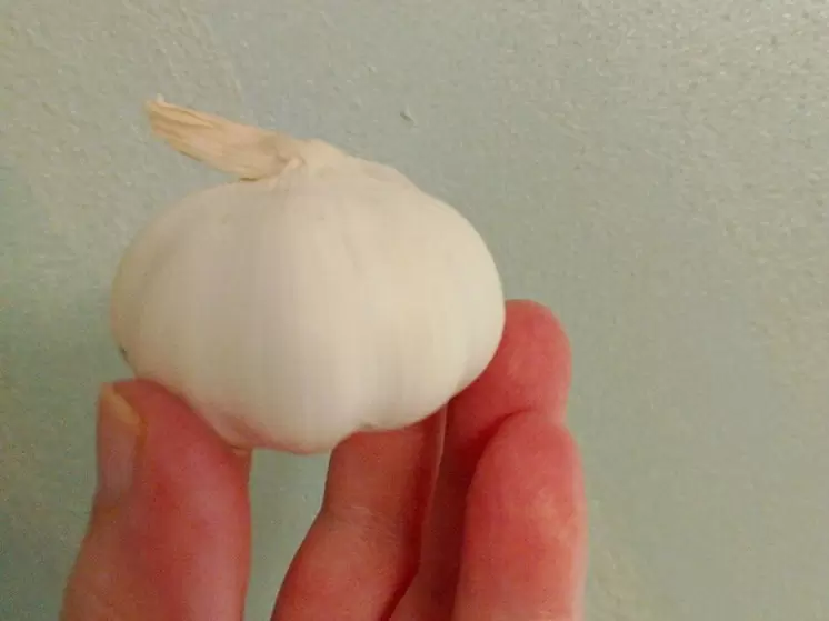 Как чеснок и имбирь могут укрепить ваши сосуды