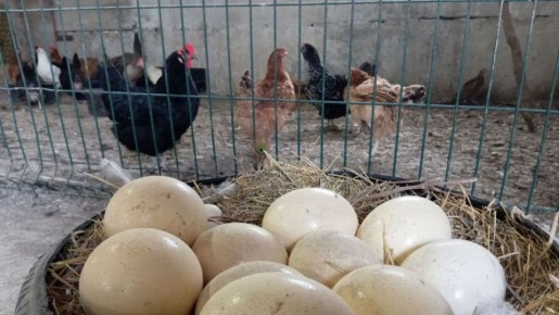 �������� ���������� � ����������� ��� � ����� �� 10,3%