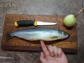 Почему уха из селедки не станет кулинарным шедевром
