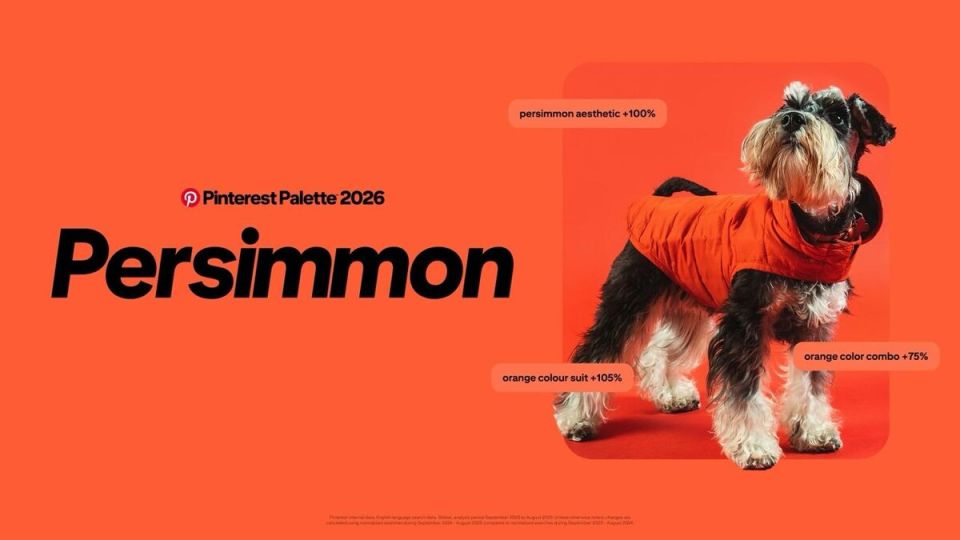 ����� � ���������: ��������� �����, ������� ������� 2026 ���