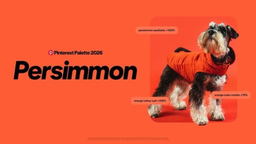 ����� � ���������: ��������� �����, ������� ������� 2026 ���