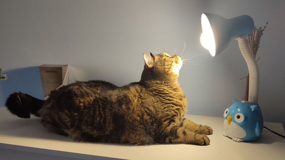 � ��������� ������� ���������� �������� ���������� �������������� � 13 �� 18 ������ 2026 ����