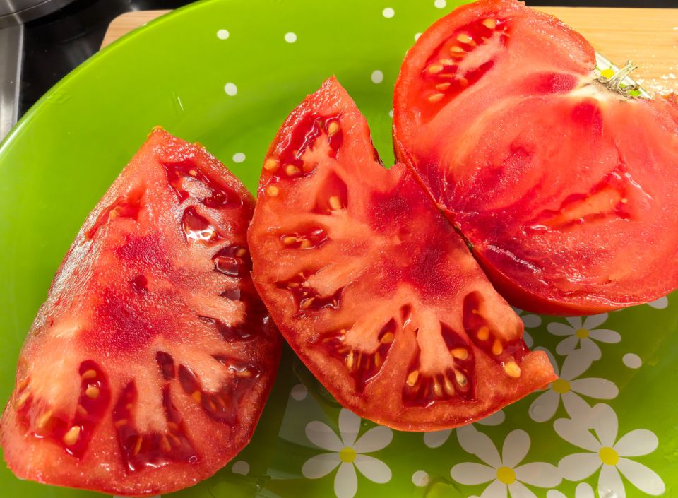 ������ ��� ������ �������: ������ ����� ������ 2026