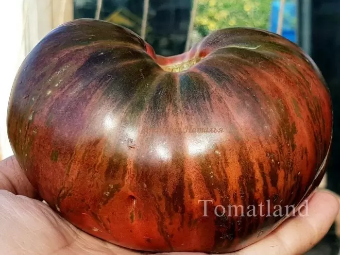 Томат Кровавая луна: откройте новые грани вкуса