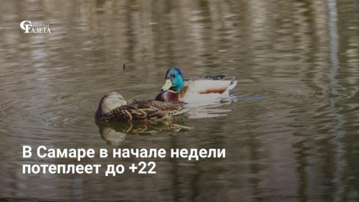 � ��������� ������� ��������� ������ ���������� �� +22 ��������