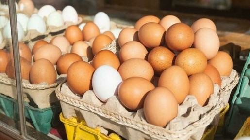 ���� ���������, ������ ������� ���� �� ����� ������� ������ ������