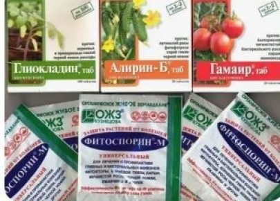 ��� ����������� ��� � ����: ������� �� ����������� � ��� �������