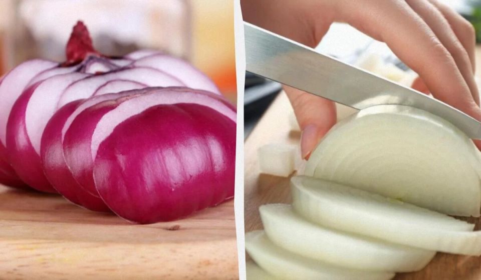 ���: ������� ���� � �������� � ����� �������