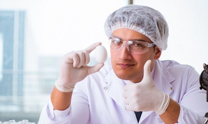 ���� ������ ����: ������� �� ������������ �������