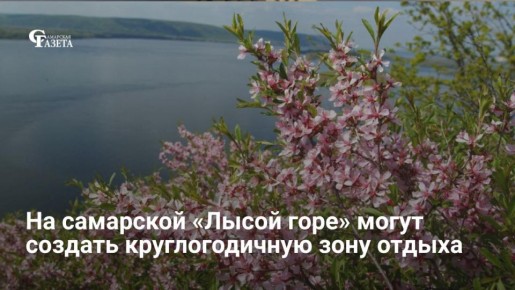 В рамках фестиваля «ЭкоБерег» объявлен конкурс на лучший проект зоны отдыха на «Лысой горе» в Самаре