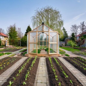 ���� ��� ���������: ��� �������� ���� ������� ���� ������