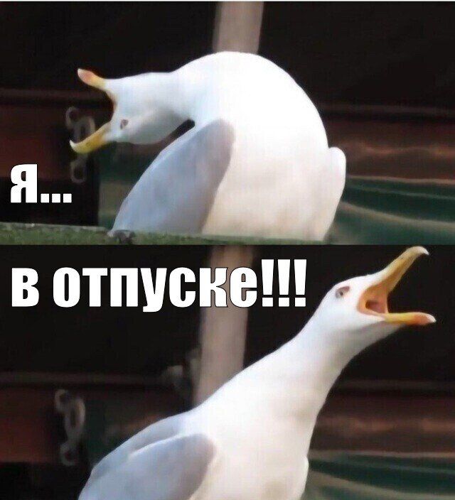 ����� � ������� �� ������ � 25 ������