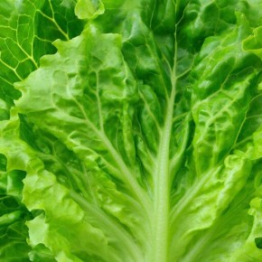 ��������� �����