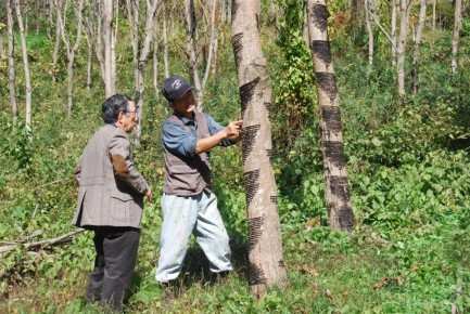 ������� ������: ��������� �� ���������