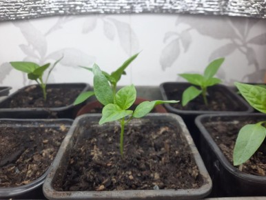 ����� � ���������: ���� ������ ��� ��������� �����