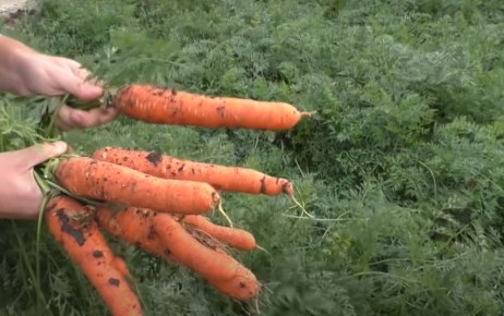 ��� ������� ��������� ����� ������� ��� ������ �������