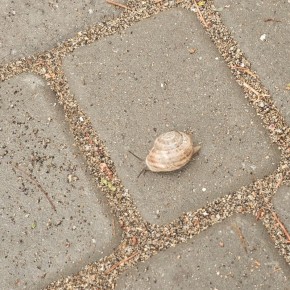 Тайна воды: как элементарная жидкость оживляет и исцеляет