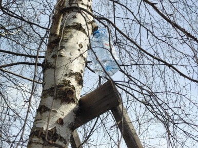 ��� ��������� ����������� ��� � ��������� �����