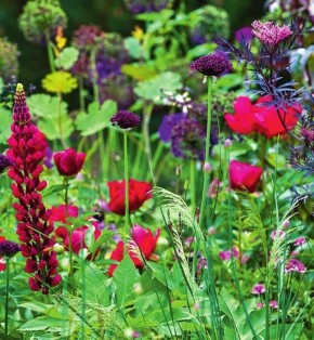 Цветочные идеи для вашего сада: создаем яркие композиции