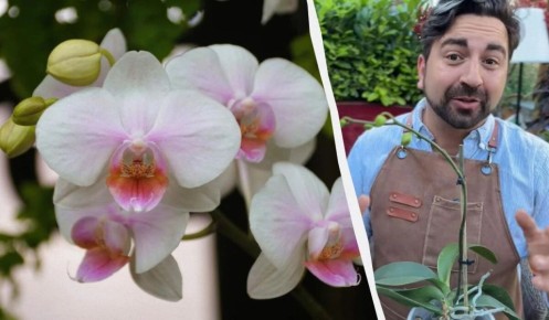 ��� �������� ���������� �������� �������: ������ �� �������� ���������