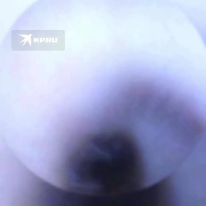 ���� ����� � ��� �������� � ������ ��� ����� ������