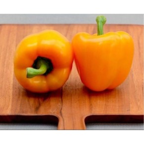 ����� ������� �������: ��������� ����� ��� ������ �������