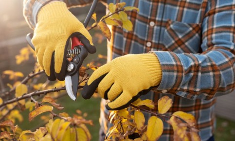 ��������� � ���������: ����� ������� ������� ����� �������� ��������� ����� ���������