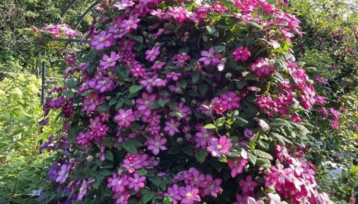 ������� �������� ������� ����������