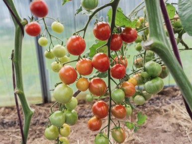 ������ ���������� ���������� ������� � ������� ����� ��������� ������