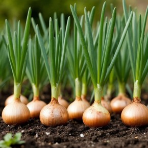 ��� ������� ������ ����: ������ ��� ��������� ������