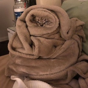 ���. � ������ ��������� ��������� �� -3